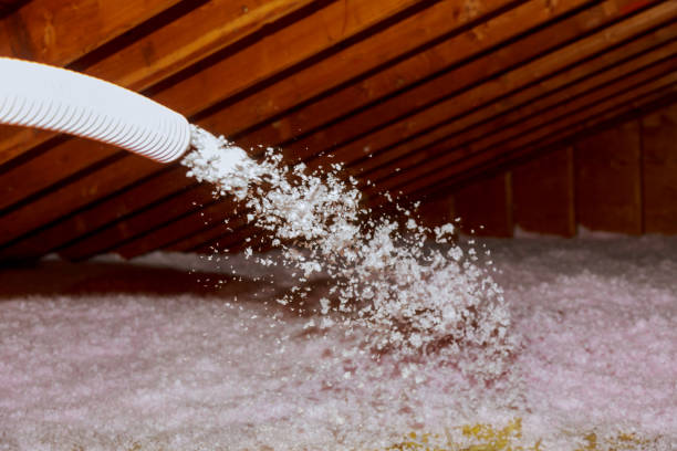 Best Energy Efficiency Solutions in Hibbing, MN