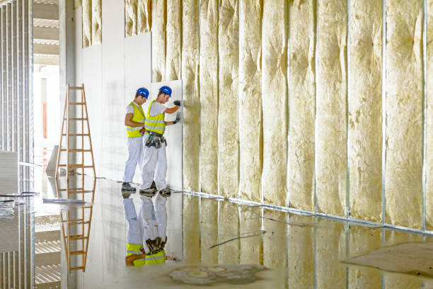 Best Commercial Insulation in Hibbing, MN